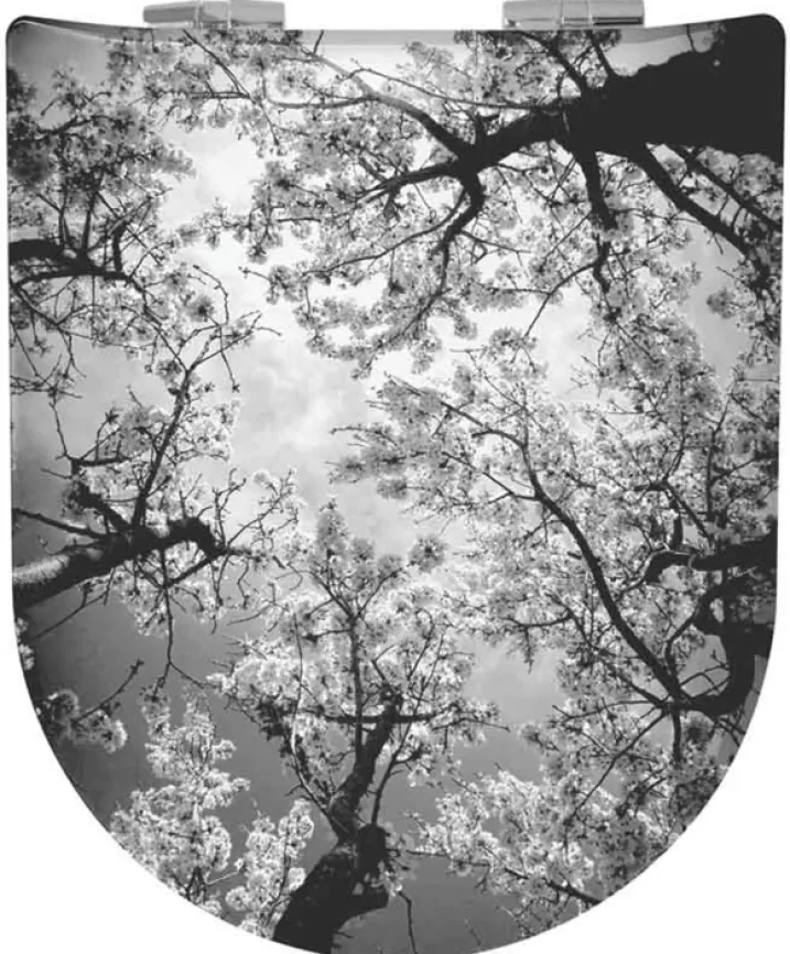 Abattant Double OLFA Descente Assistée "Arbres en Fleurs"