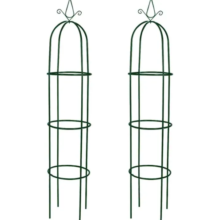 Arche de jardin en métal pour plantes