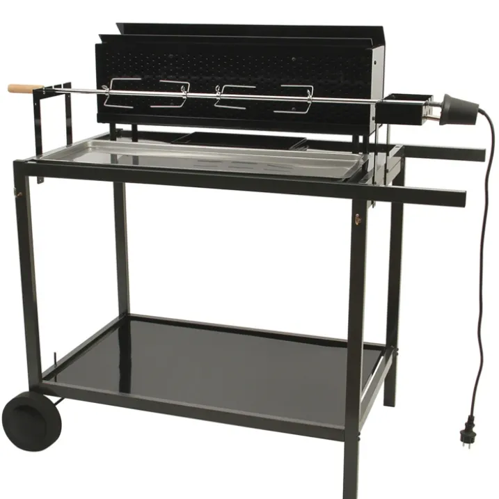 Barbecue spécial rôtisserie