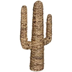 Cactus sur pied en roseau