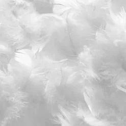 Couette en coton "NATURE DUVET"
