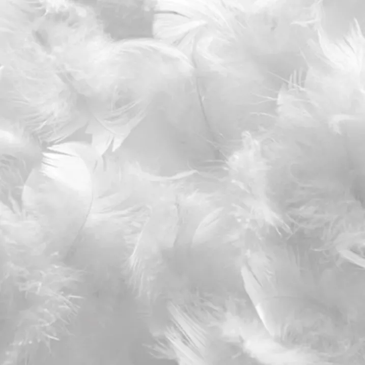 Couette en coton "NATURE DUVET"