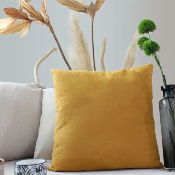 Coussin dehoussable en velours