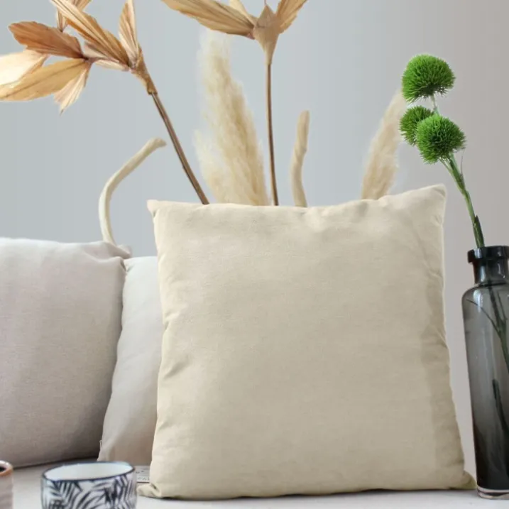 Coussin dehoussable en velours