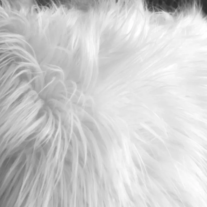 Coussin déhoussable uni imitation fourrure