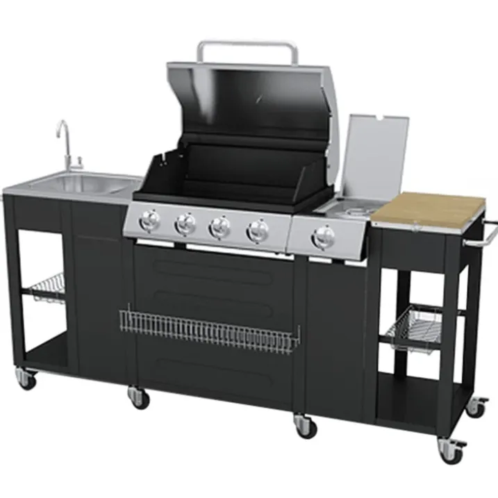 Cuisine d'extérieur avec barbecue
