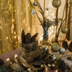 Guirlande de Noël brins et petits ronds