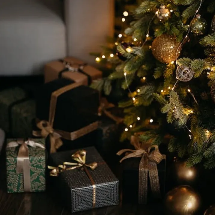 Kit de décoration pour sapin de Noël