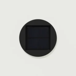 Lot de 2 lampes de chemin solaire LED extérieur végétal