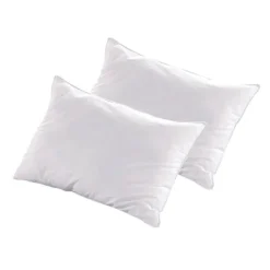 Lot de 2 oreillers NATURA
