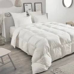 Oreiller en plumettes et duvet