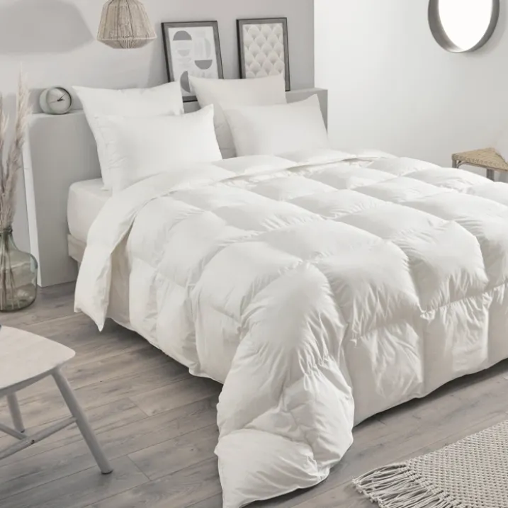 Oreiller en plumettes et duvet