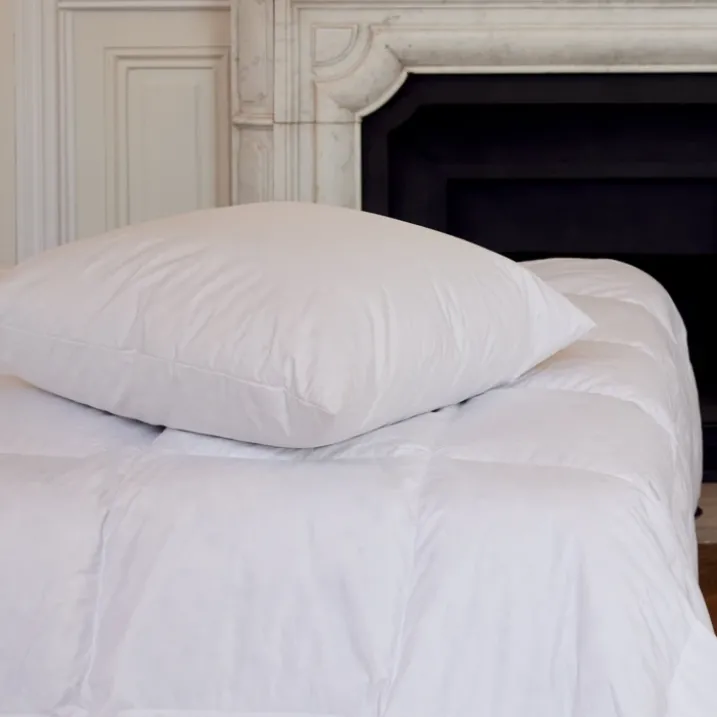 Oreiller en plumettes et duvet