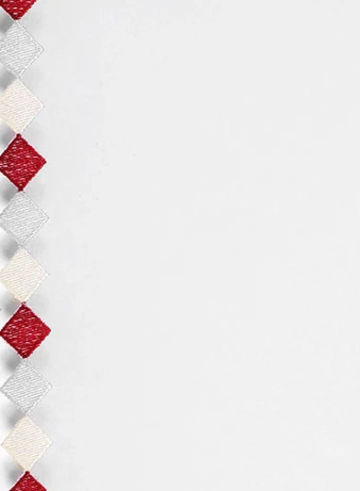 Paire de Petits rideaux Brodés aux Bordures Fantaisies