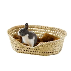 Panier Osier pour petit chien