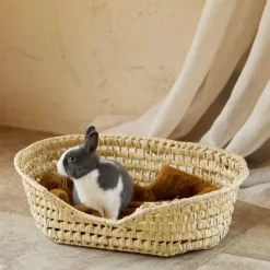 Panier Osier pour petit chien