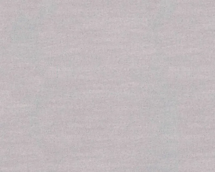 Papier Peint en Intissé Uni