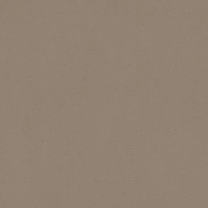 Papier Peint Uni et Coloré