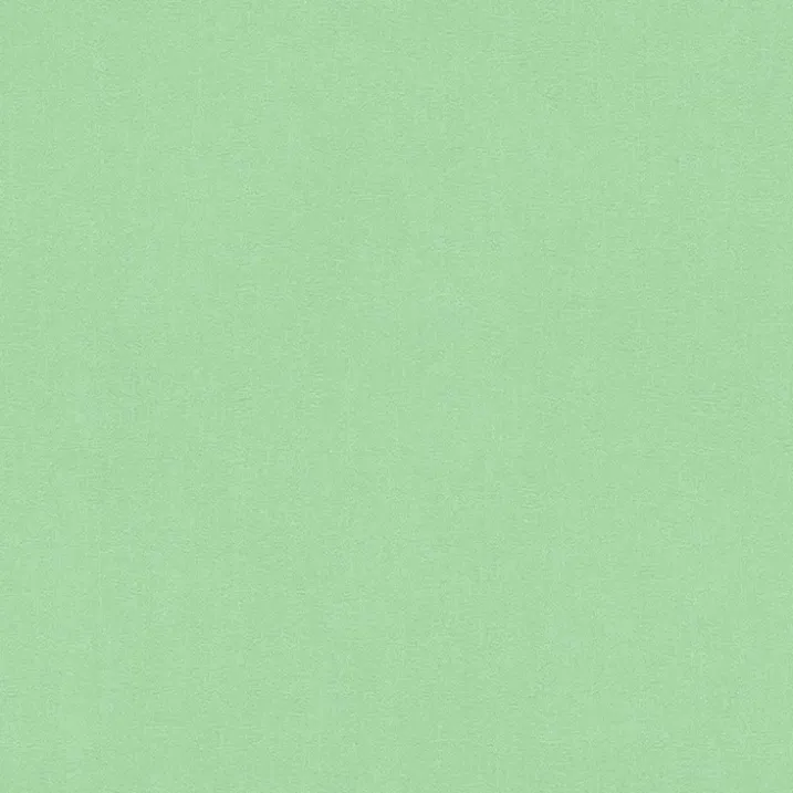 Papier Peint Uni et Coloré