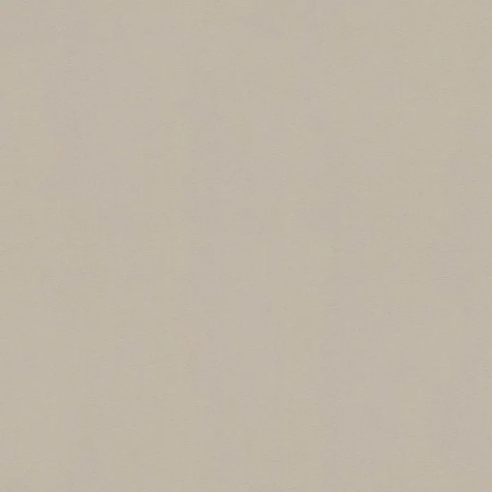 Papier Peint Uni et Coloré