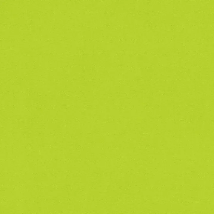 Papier Peint Uni et Coloré
