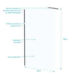 Paroi de douche minimaliste en verre trempé