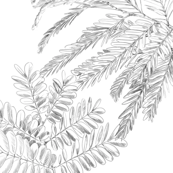 Parure de couette imprimée jungle dorée