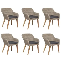 Salon de jardin en résine tressée avec coussins