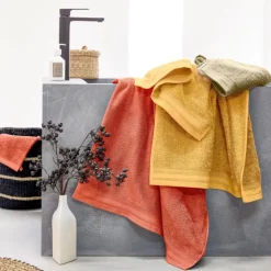 Set de 2 serviettes de toilette en éponge