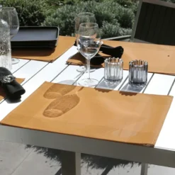 Set de table plastique lavable