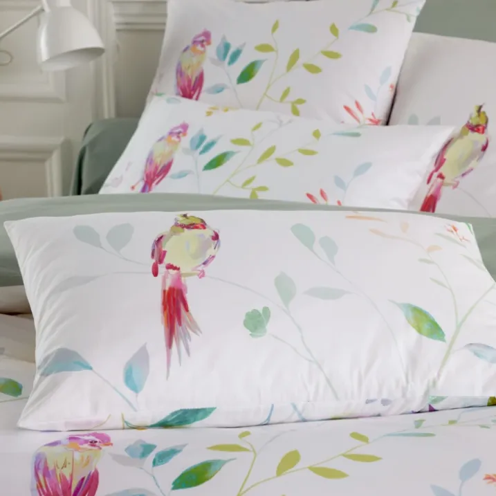 Taie d’oreiller percale de coton 80 fils oiseaux